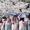 ＜気温上昇＞関東各地で夏日　館林２６．４度（毎日新聞）- Yahoo!ニュース