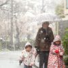 関東北部 22日にかけ大雪恐れ | 2018/3/21(水) 17:37 - Yahoo!ニュース